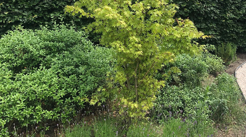 Stadstuin Turnhout