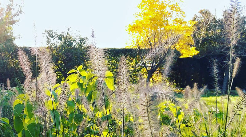 Tuin Van Heden Vogel- en vlinderparadijs Merksplas