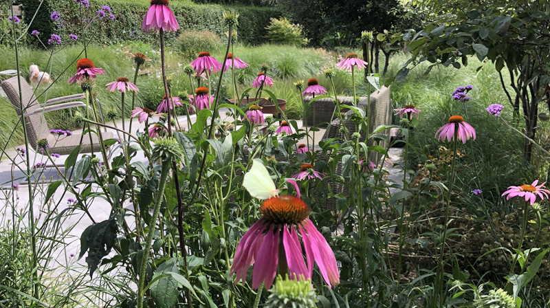 Tuin Van Heden Relaxtuin met zwemvijver Turnhout
